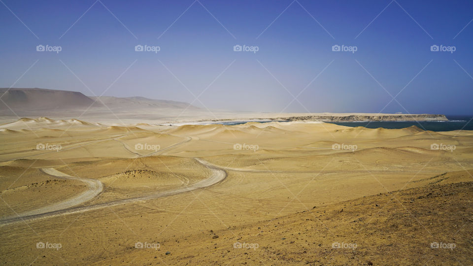 Reserva Nacional de Paracas- Perù