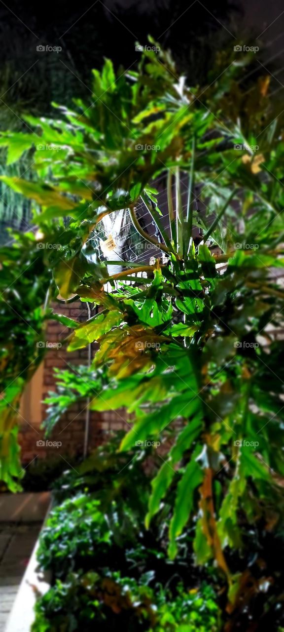 Nature mixed with us