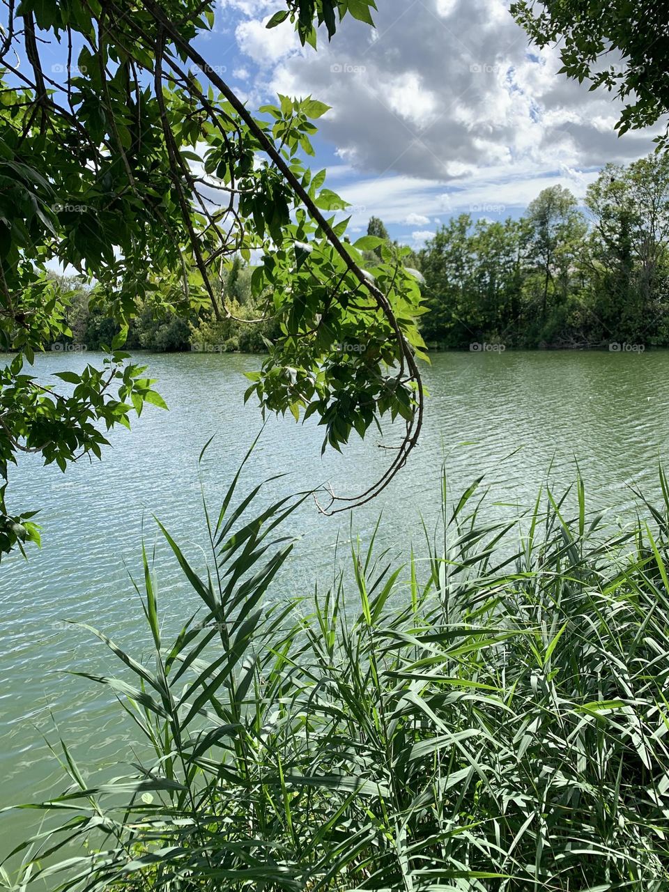 evocative image of a body of water in the Venetian countryside