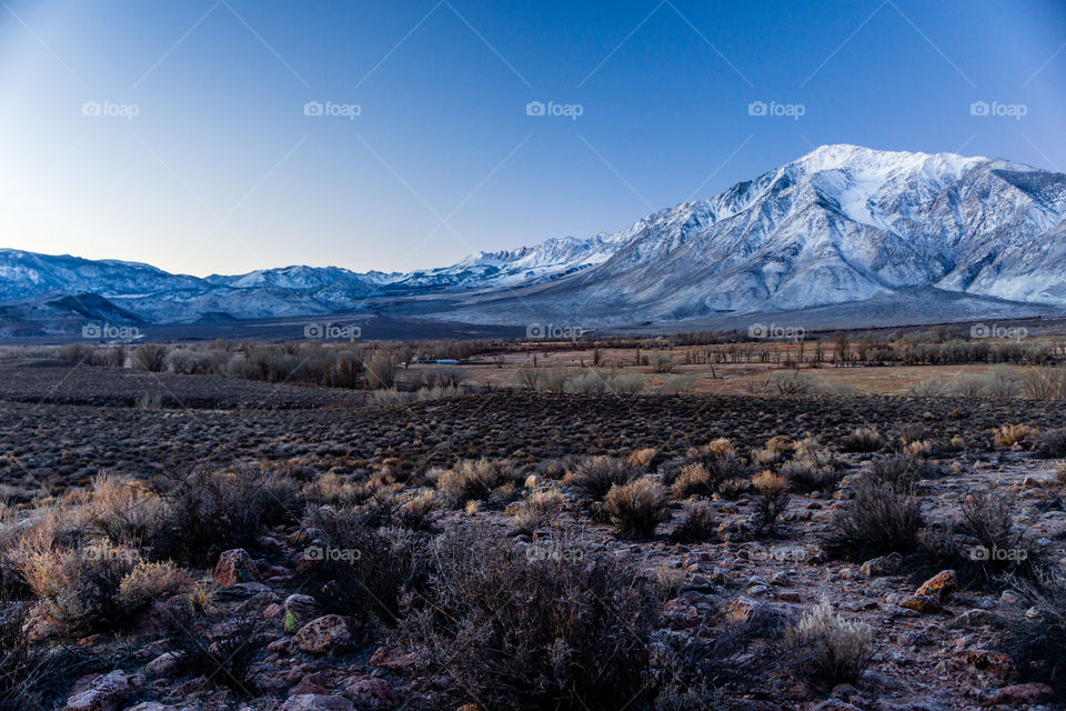 Eastern Sierra Nevada 9