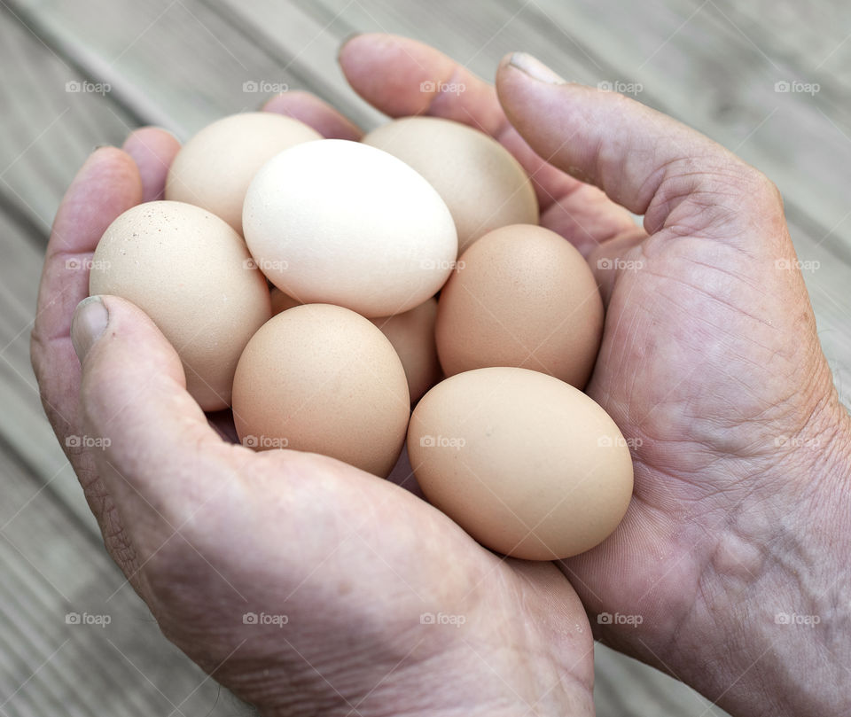 Close-up of eggs in hand