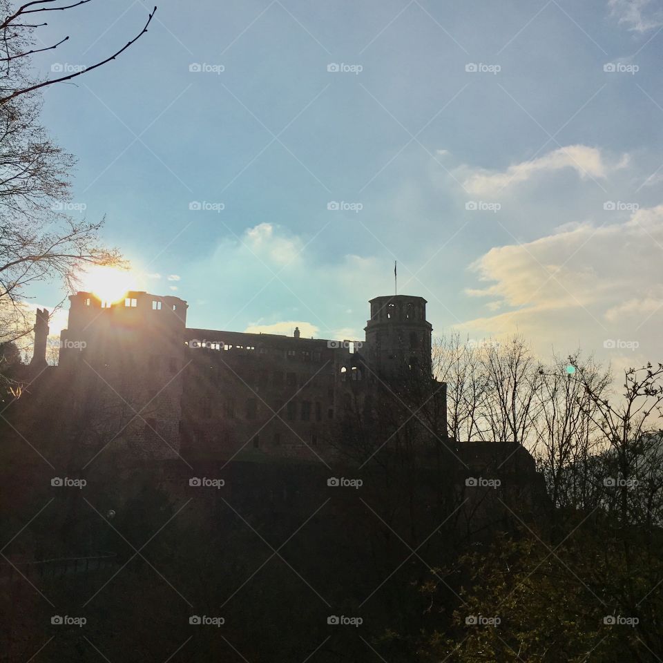 The sun shined over Heidelberg castle on a gorgeous Spring afternoon. 