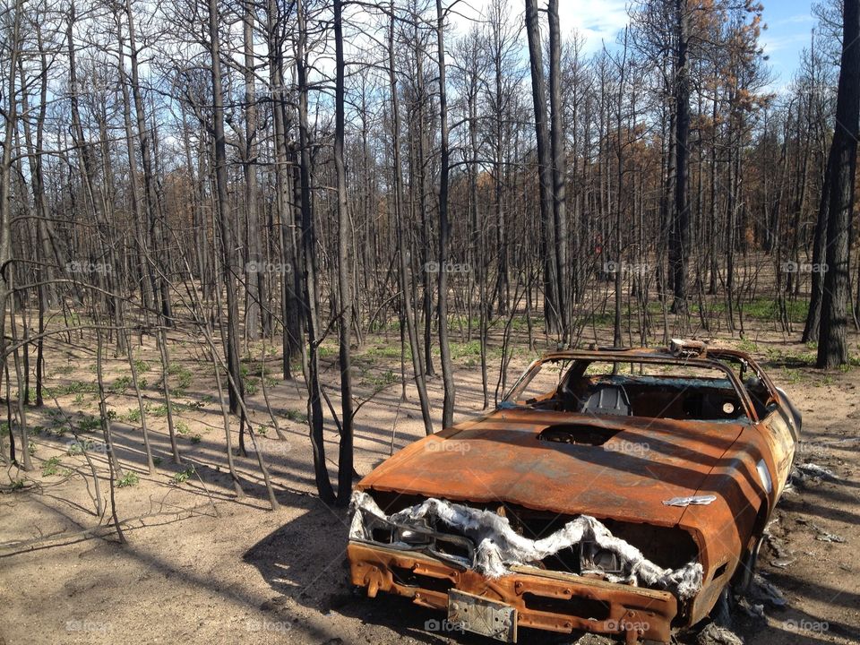 Devastation. 78 Firebird Black Forest Fire