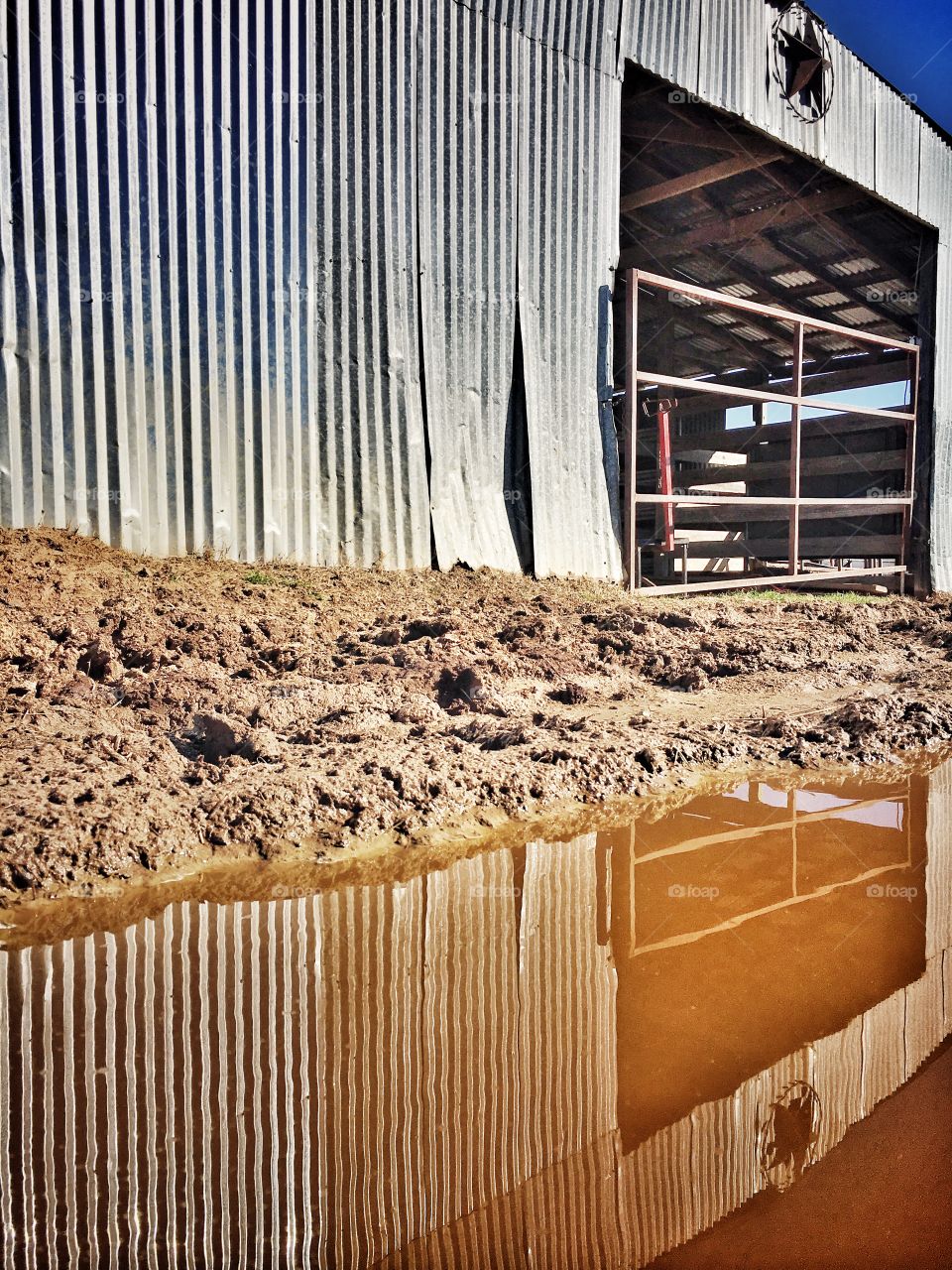 Metal barn reflection. 