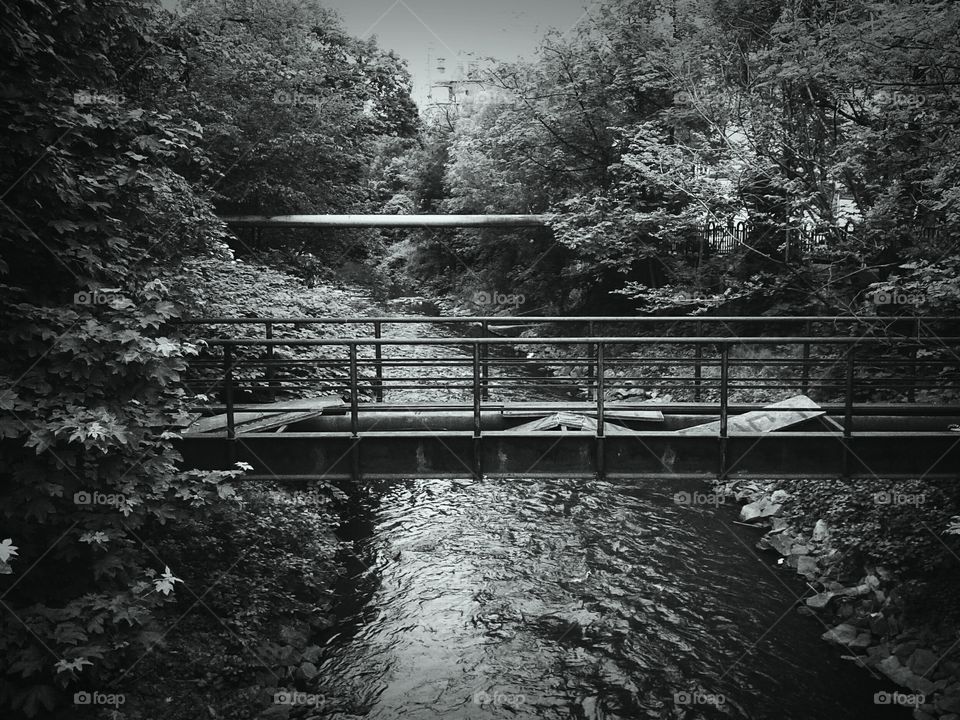 Damaged Footbridge