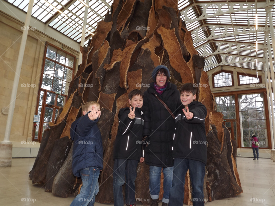 happy wood trees art by mrm