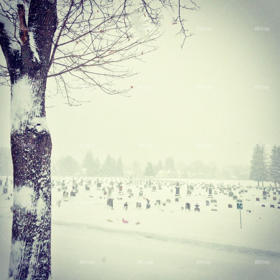 Snowy Cemetery. Schenectady, New York