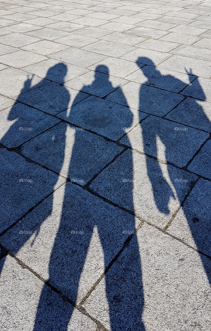 shadows playing on pavement