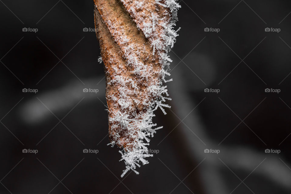 Beautiful icy crystals covering a small frozen piece of hanging metal