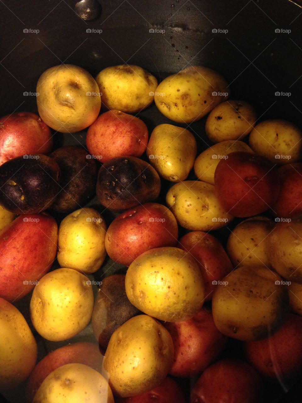 Fall stroll. Feather