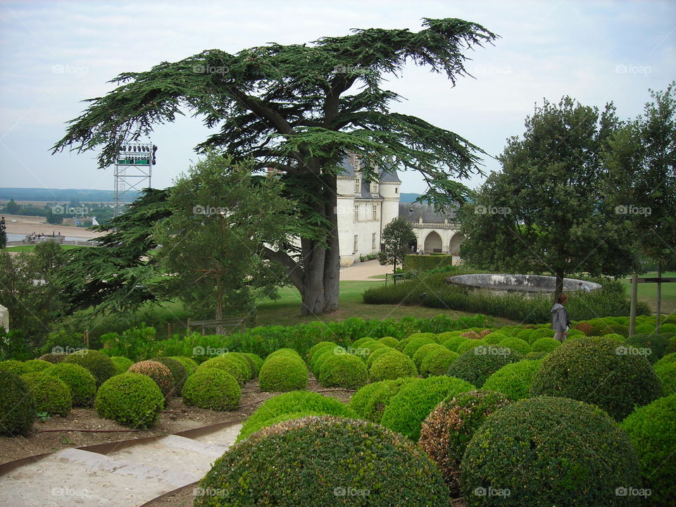 France,Amboise Castle