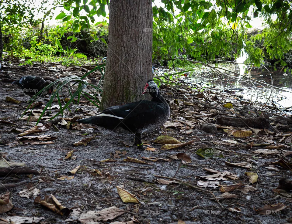 Miami parks 
