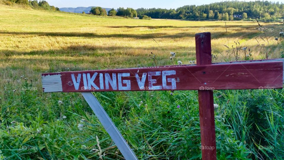 The Old viking road in Norway