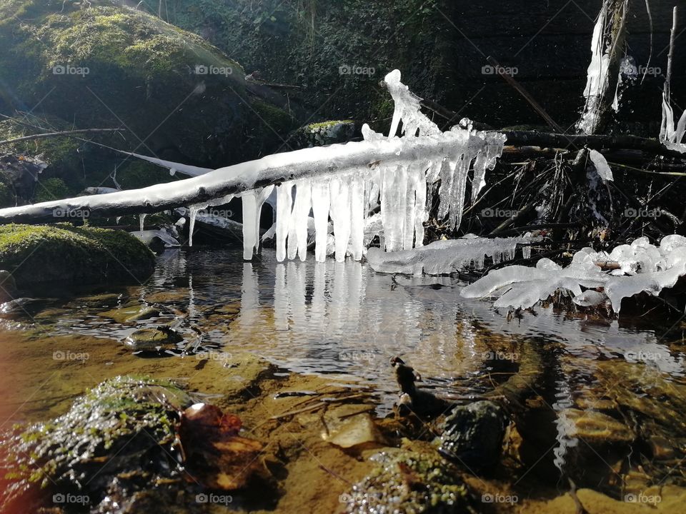Beautiful ice nature