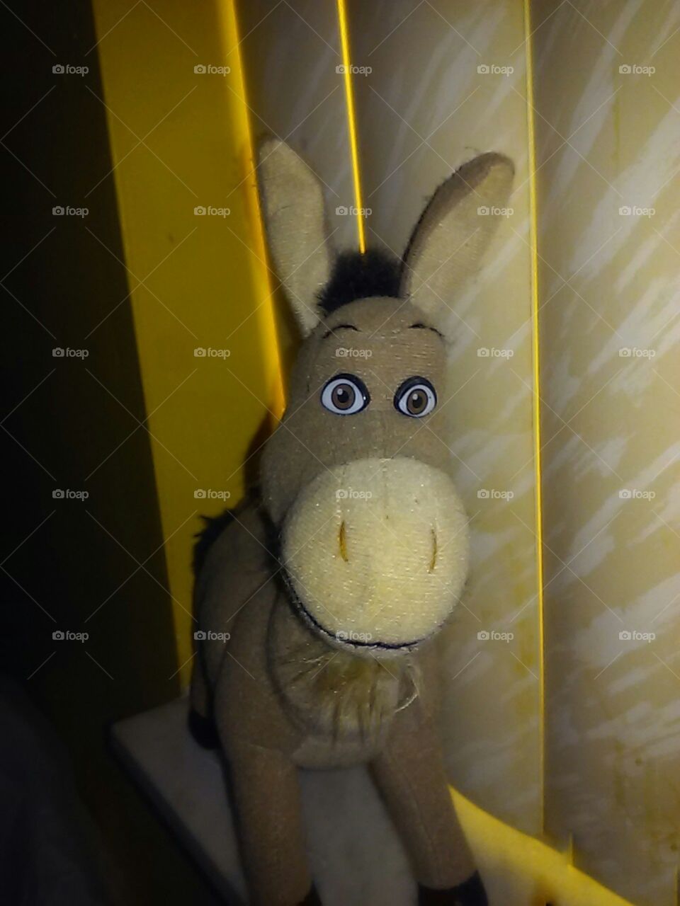 How much do you like this photo?