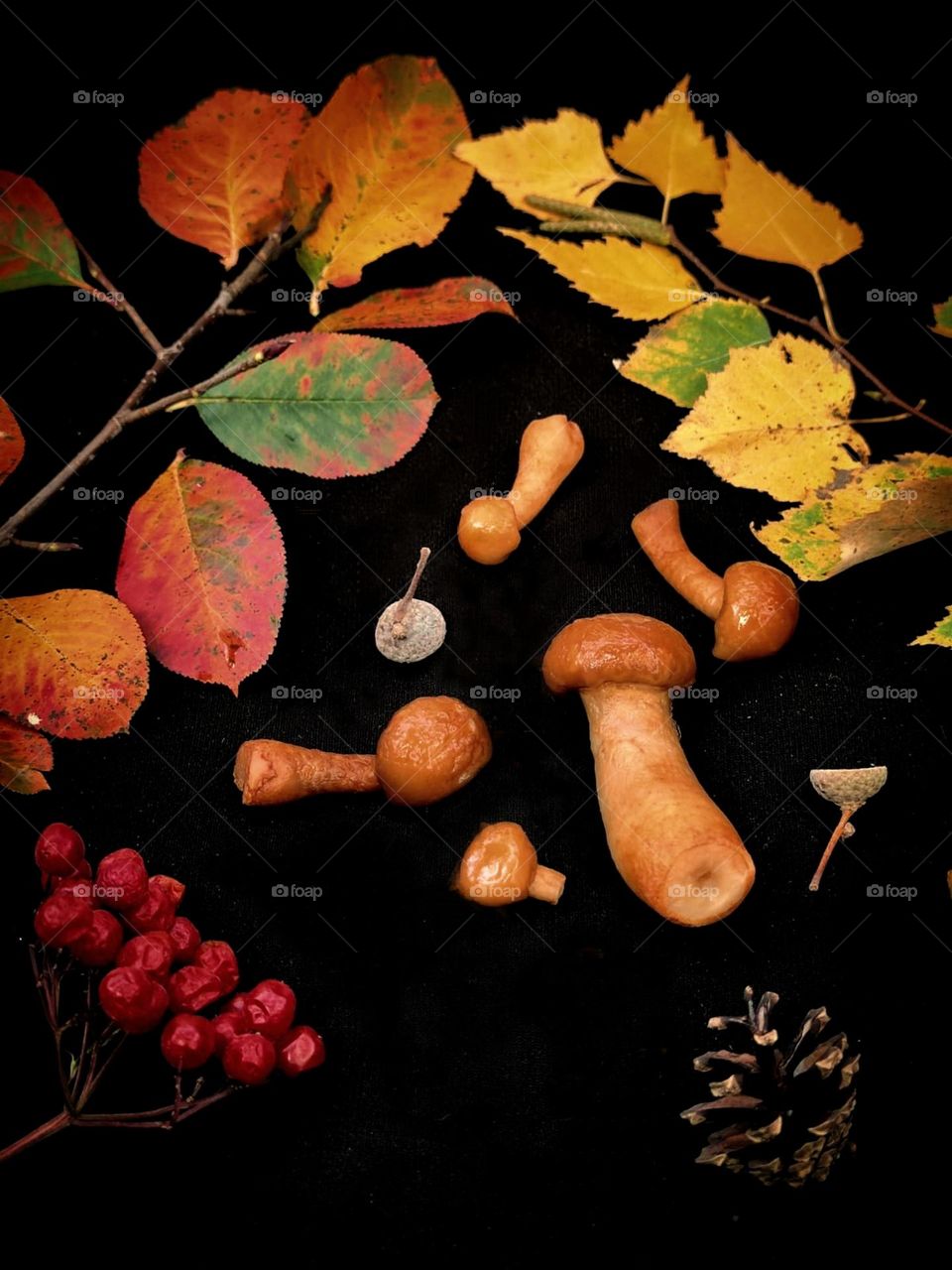 Autumn. Autumn gifts lie on a black background: a branch with red leaves, a branch with yellow leaves, honey mushrooms, a bunch of red rowan and a pine cone