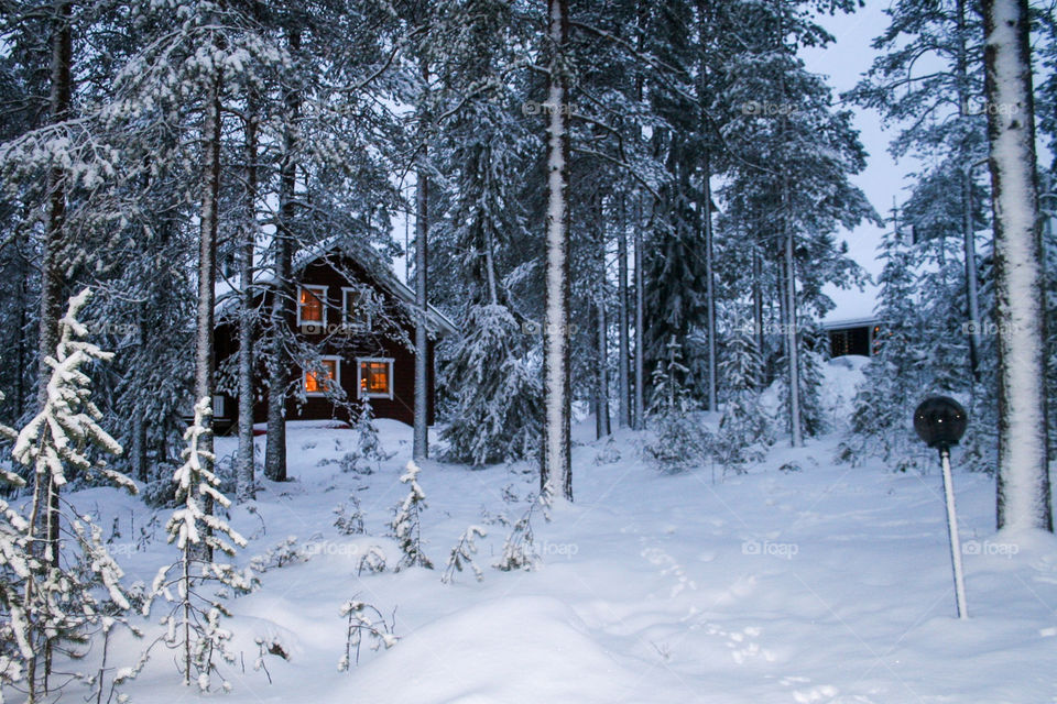 Cabin in snowy forest