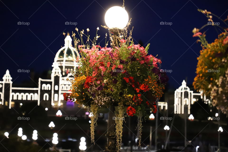 Lamppost illuminates the hanging flowers against the illuminated buildings 