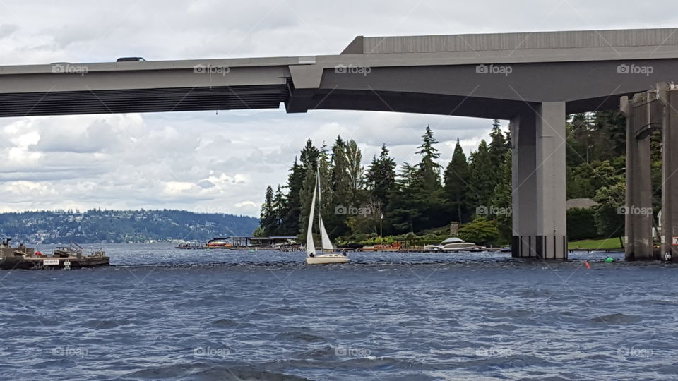 sailing under the bridge