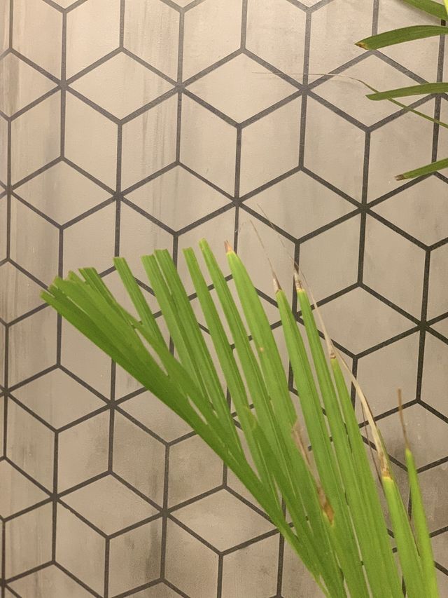 Leaf