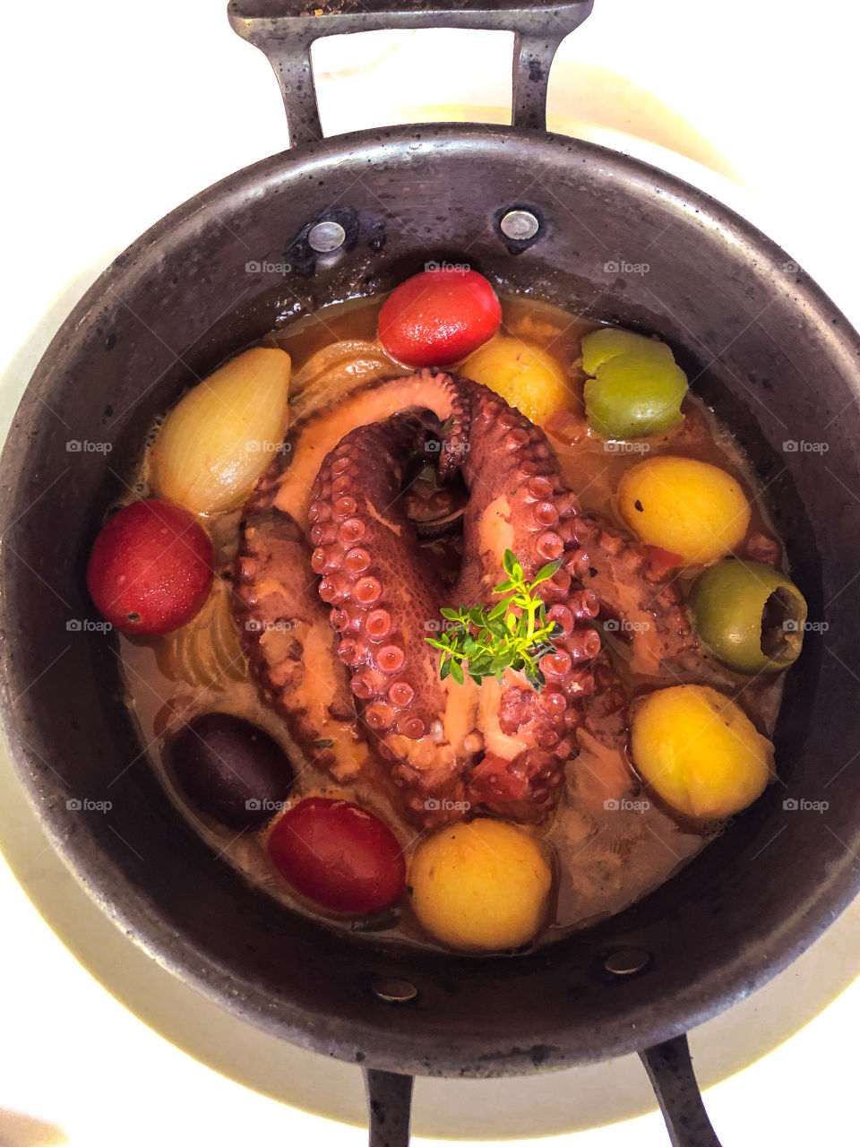 Octopus