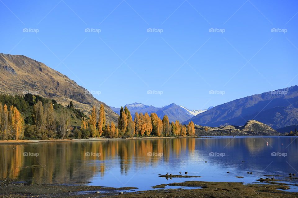 Autumn#New Zealand#lake#mountain