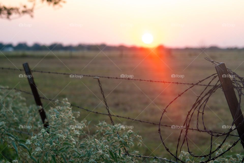 Rural Texas Sunset