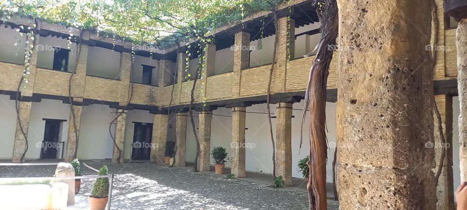 patio interior Granada centro