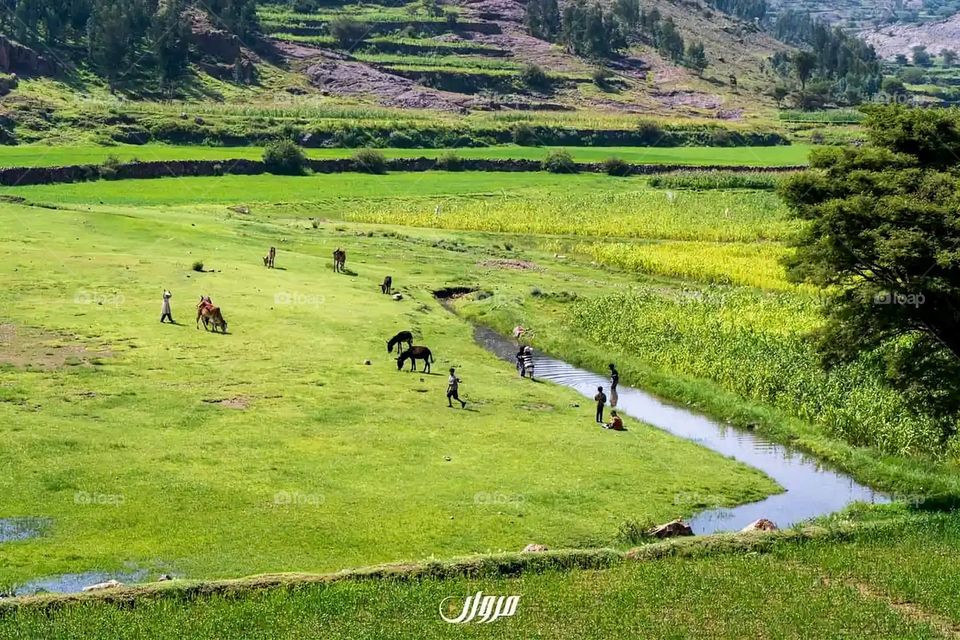 Glory be to God, the magnificent and picturesque view and the natural green trees are a view that is nothing more wonderful than it