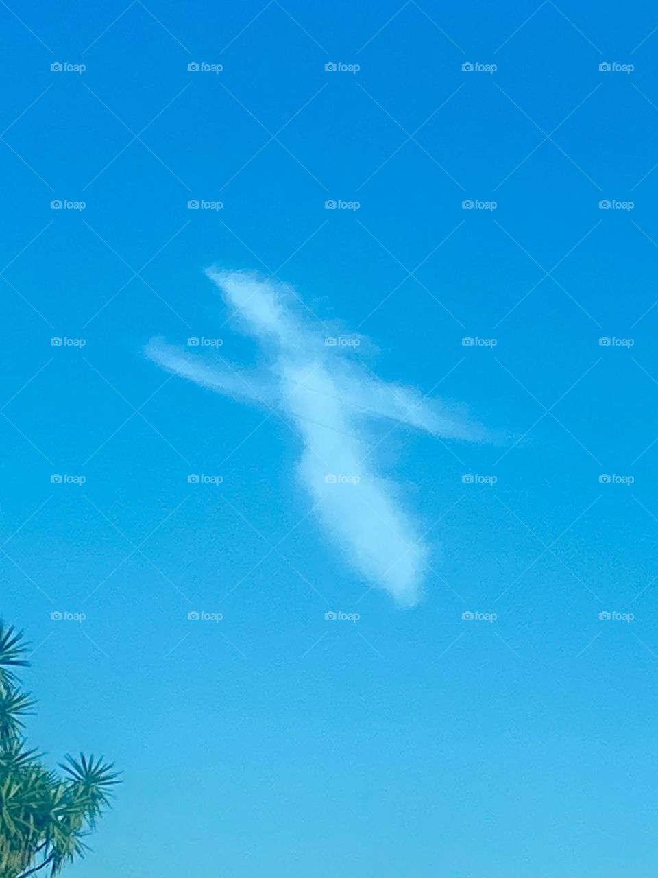 A white puffy cloud shaped like a cross against a clear, bright blue sky