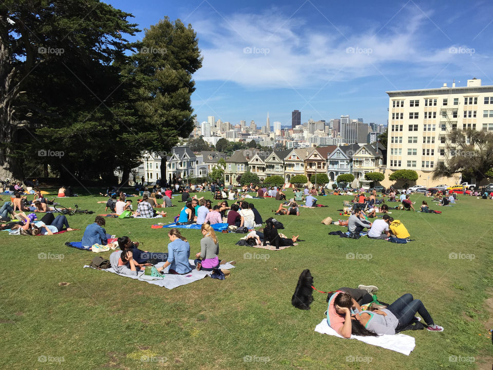 Alamo square park in San Francisco with painted ladies view 