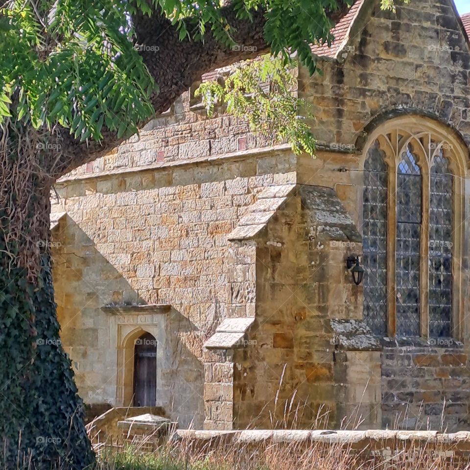 church building with shaped tree in front framing it. stained glass window. late summer lighting