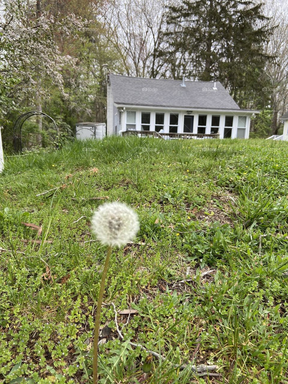Grounded in the garden