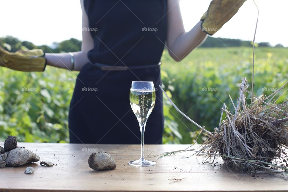 Elegant woman in the vineyard presenting a glass of champagne 