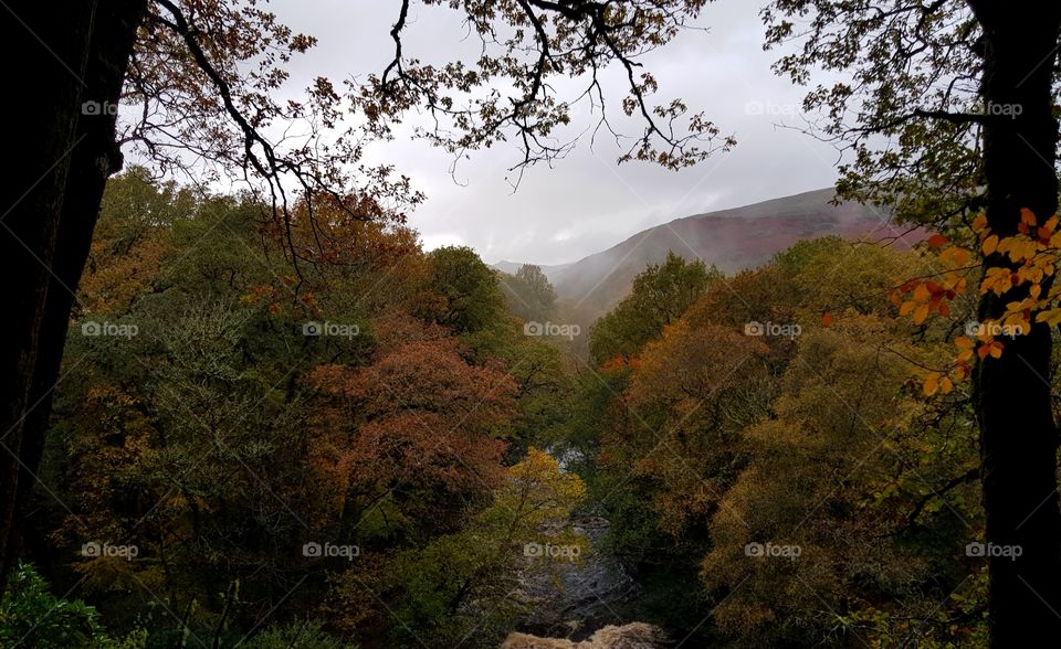 River Dart