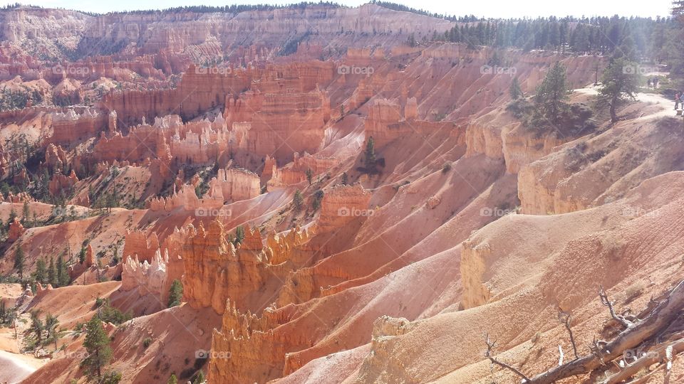 The magestic Bryce Canyon