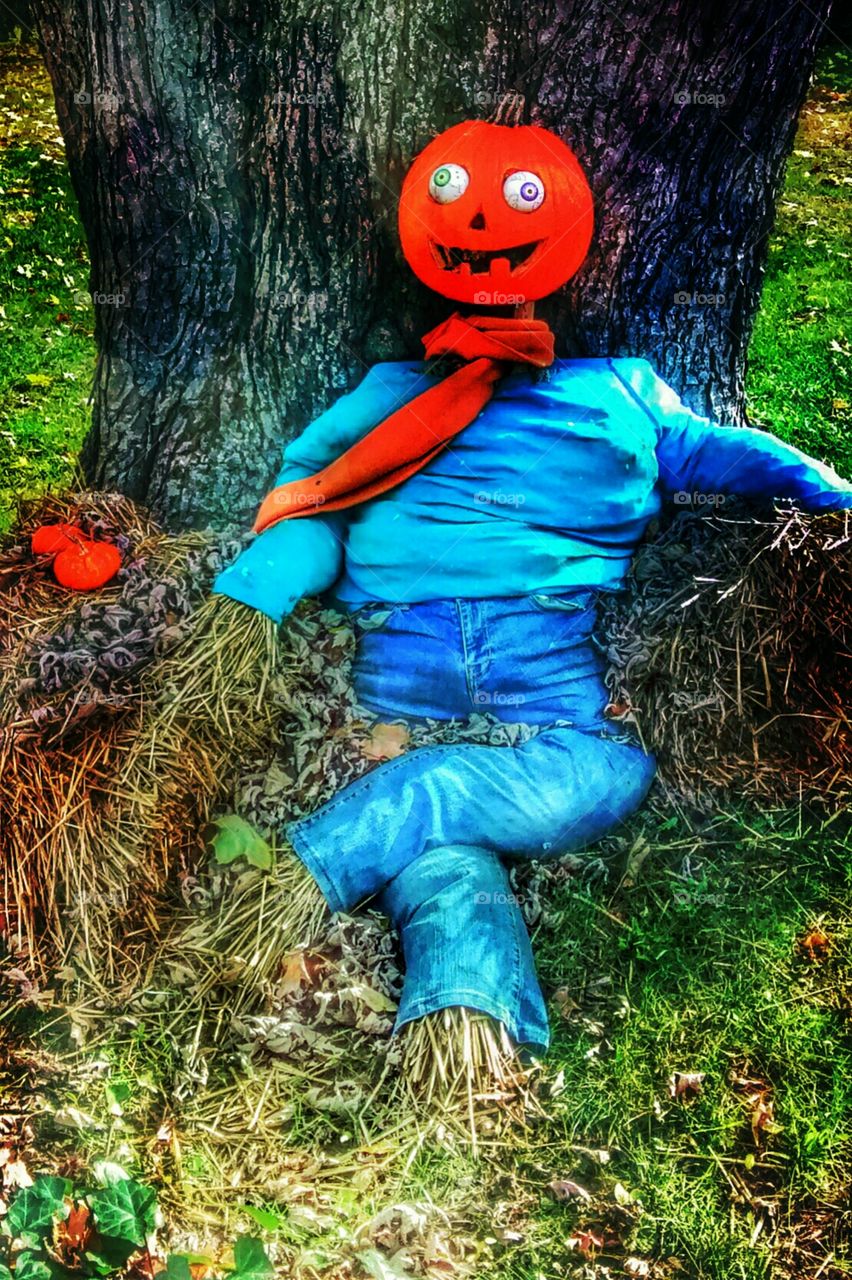Jack the pumpkin scarecrow. great Halloween decoration i came across on a walk through Wilton, NH. loved his cute pumpkin head and bright colors!