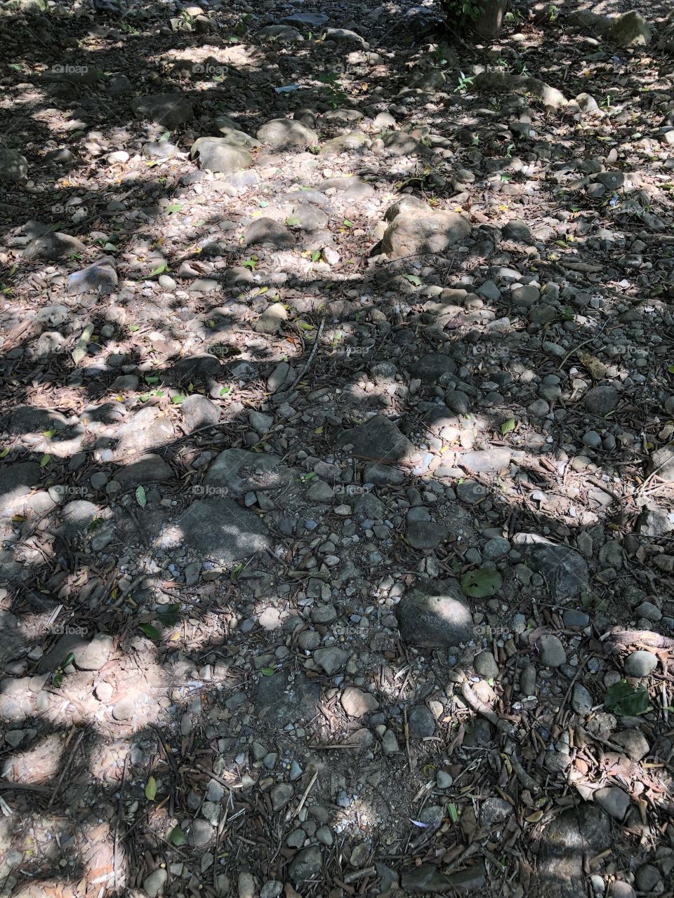 Light and shadow , Countryside (Thailand)