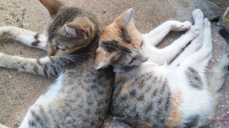 Vacay? Ready, Steady, go!