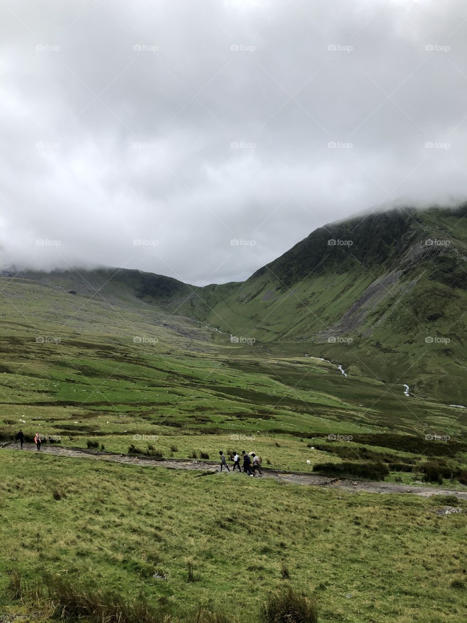  View as you ascend mount Snowden