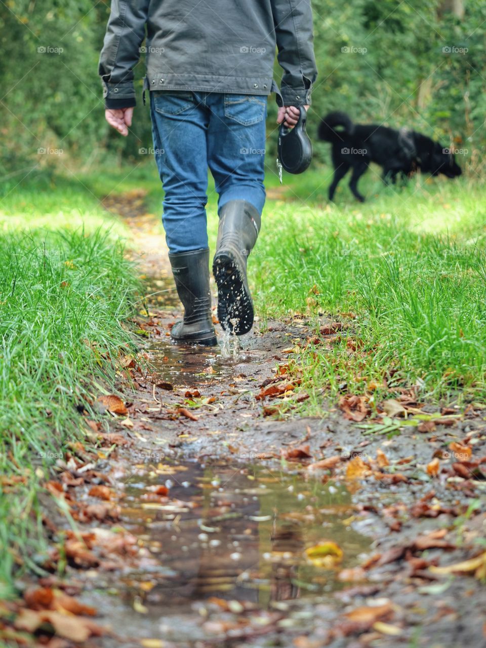 Autumn walk