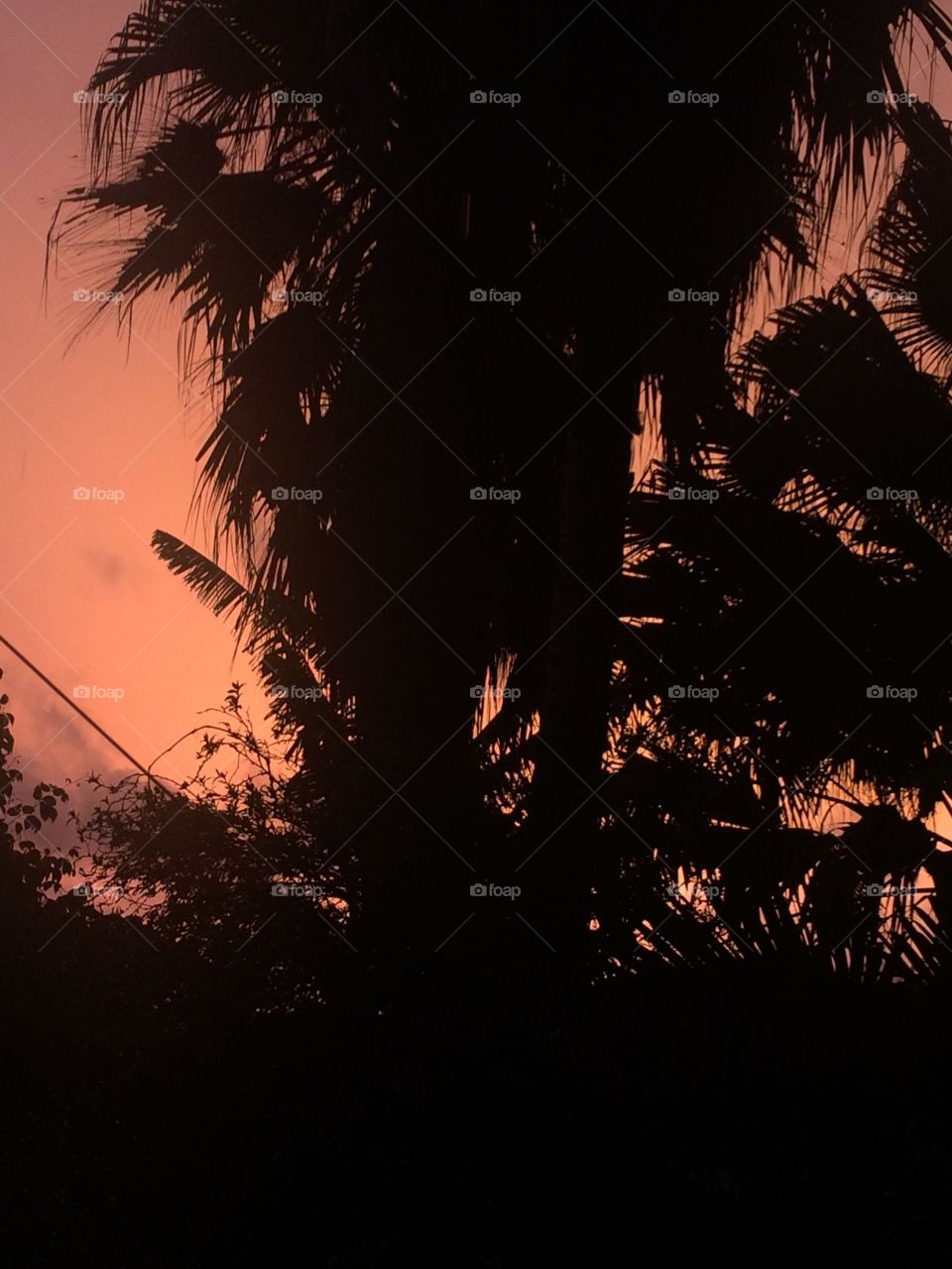 Sunset in São Paulo, Brazil 🌅 🇧🇷 