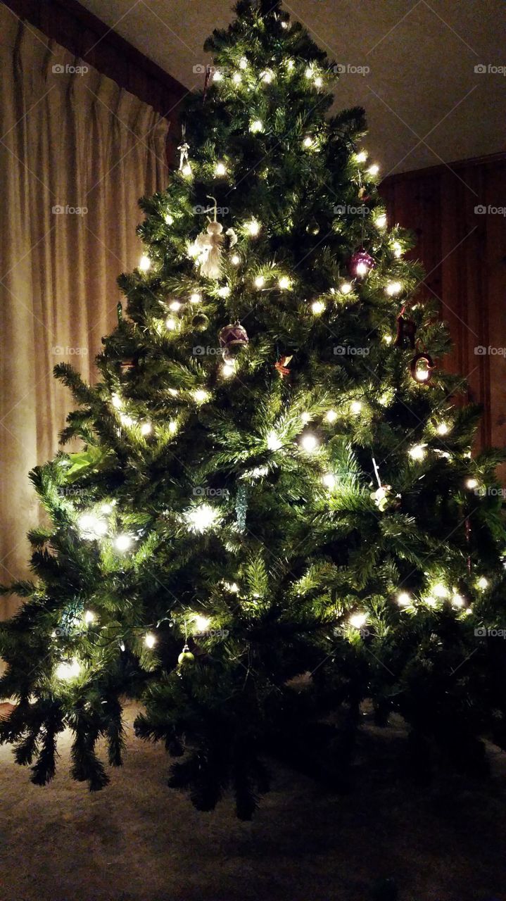 Christmas lights on the tree