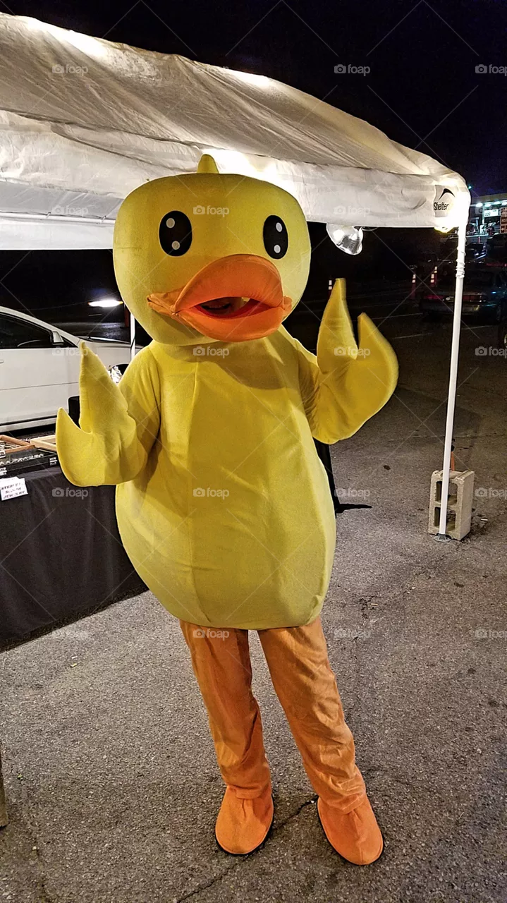 Duck