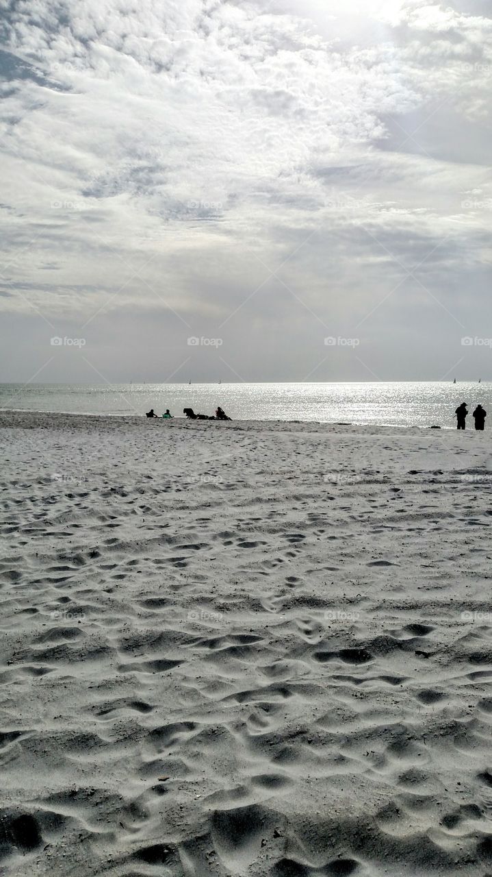 Clearwater FL