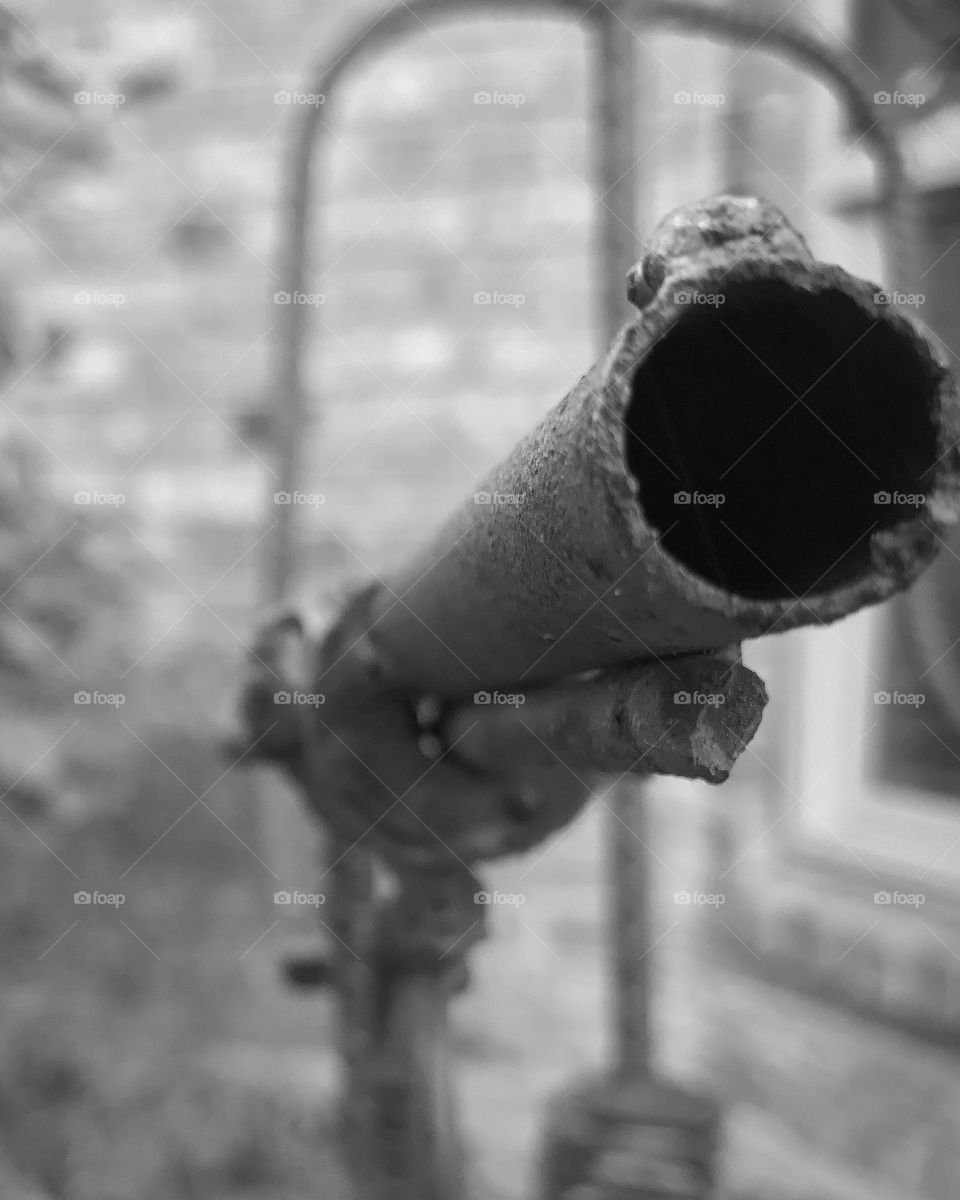 Big barrel. Skinny arms.