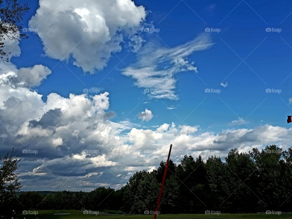 clouds in the sky over trees
