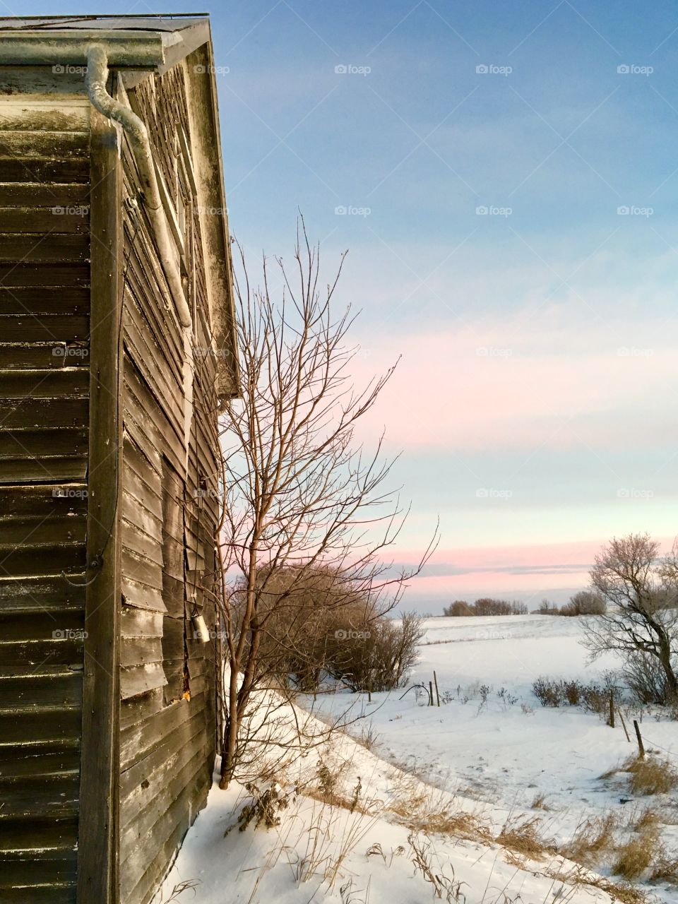 Fresh winter morning on the farm 