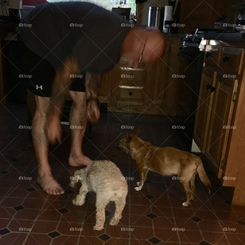 Two Old Dogs Getting  A Treat 🐾💞