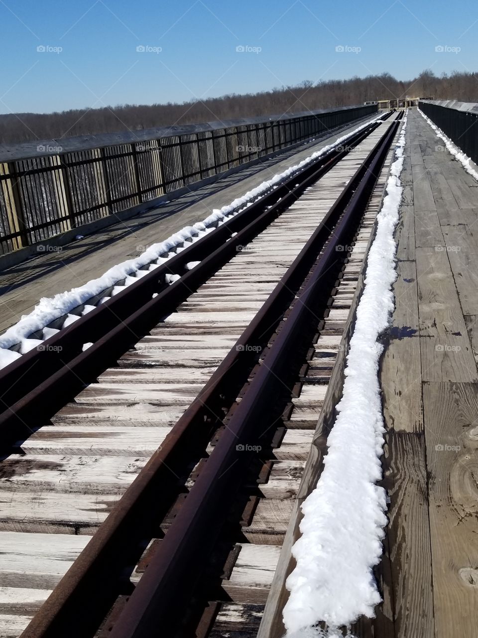 Kinzua Bridge Tracks